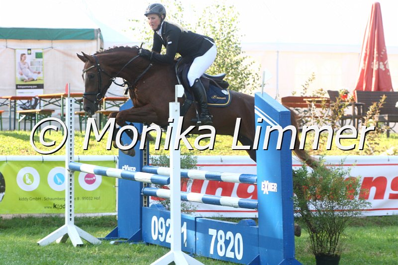 308M9203_O what a feeling_Springpferde A.JPG